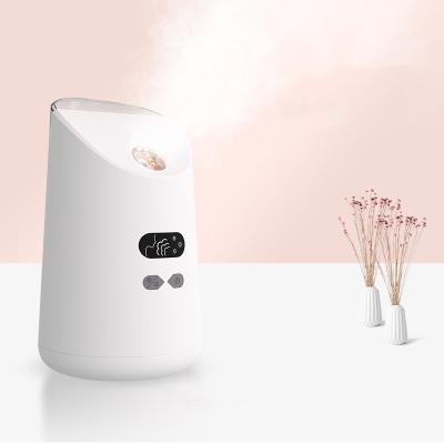 China Wholesale Moisturizer Quick Mist Spray Hot And Cold Facial Steamer With Logo Electric Nano Ionic Facial Steamer Te koop