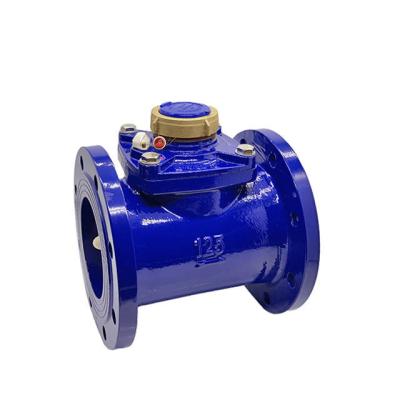 China Cheap Cost Effective Detachable Blue Color High Performance Industrial Water Meter Lxlc-125 for sale