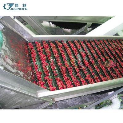 China Fruit Seal Fruit Processing Plant JOLINMFG Full Automatic Central Kitchen High Capacity Cherry Wash Vegetable Washing Machine Clean Line for sale