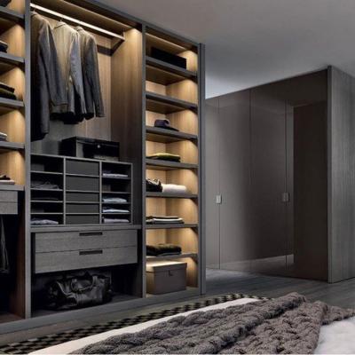 China (Others) Quality Fabric Adjustable Multifunctional Accessories Hanging Veneer Portable Wardrobe for sale