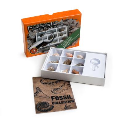 China Holiday Yase Gift Box Fossil Product Old Collection Set Toys Collection Kit Wholesale Fossils Children Promotional Fossils for sale