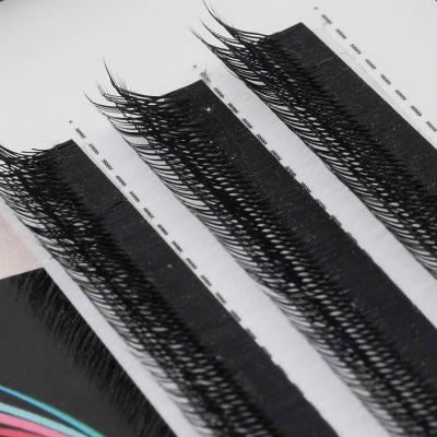 China New Camellia Easy Fanning Eyelash Double Layer Eyelash Extension Long Silk Synthetic Lashes Natural Professional Eyelash Extensions for sale