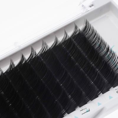 China Natural High Quality Long Individual Private Label 0.03 Easy Fan Pbt Korean Volume Eyelash Extensions for sale