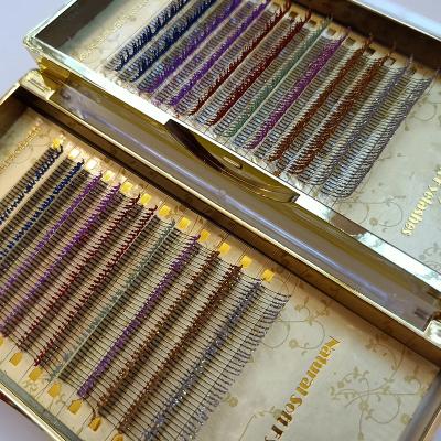 China Long Natural Customized Packaging Designs For Handmade Multi Colors Glitter Eyelash Extension Supply for sale