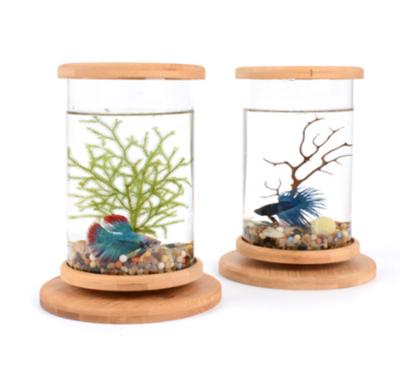 China Home Desktop Glass Transparent Small Round Decoration Viable Hot Selling Small Aquarium Fish Tank for sale