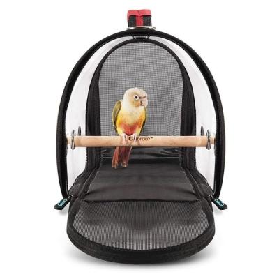 China New Simple Stocked Take Out Portable Birdcage Transparent Fiber Bird Cage for sale