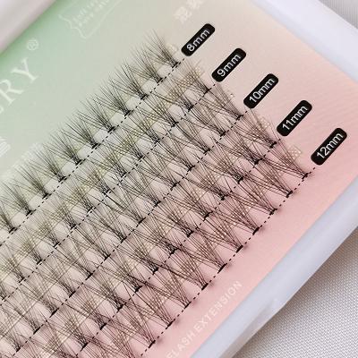 China Fashion Group 10D Eyelashes Box Wholesale Hot Conical Thick False Eyelashes Natural Simple False Melt Long for sale