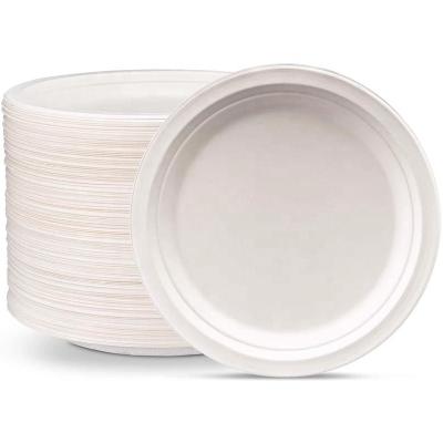 China Paper Plates 100% Compostable Biodegradable 150 Eco Disposable Paper Plates of Dish or and Heat Resistant Alternative to Plastic Food Packet for sale