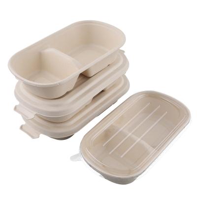 China Biodegradable Disposable 28OZ Bowls WITH LIDS 2 Compartment Fiber Food Container Bagasse Microwave Compostable PP Safe for sale