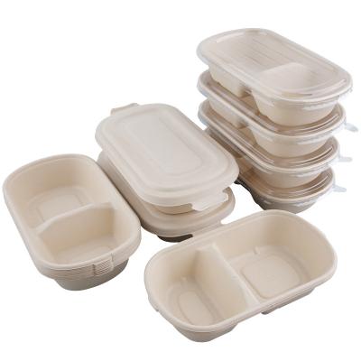 China Clamshell 100% Compostable Biodegradable Take Out Bagasse Eco Disposable Biodegradable Food Containers Made Of Lunch Box for sale