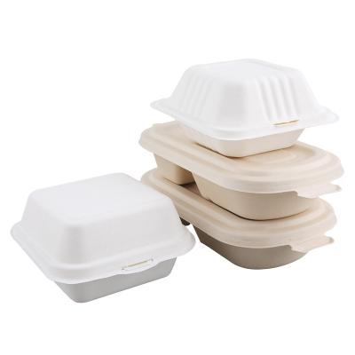 China Biodegradable Bulk Eco Friendly Takeaway Boxes Greaseproof 6x6 Clamshell Biodegradable To Go Disposable Burger Box Leakproof Paper Backing for sale