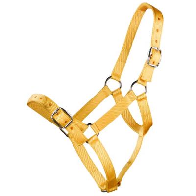 China High tenacity design your own nylon horse halter for sale