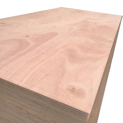 China Factory Price Sales 18MM Contemporary Commercial Birch Plywood Good Quality Plywood for sale