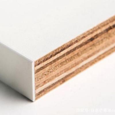 China Customized Contemporary Grade 12mm 15mm 16mm 18mm Wood Grain Laminated Faced White Fire Rated Plywood for sale