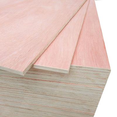 China Contemporary sales export standards birch plywood/Baltic birch plywood/bleached finished white birch plywood for sale