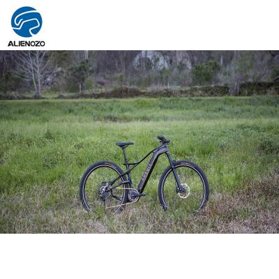 China 2019 New Style Carbon Fiber Electric Mountainbike 27.5/29