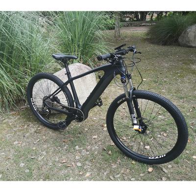 China Cheapest Carbon Fiber Carbon Fiber Urban Community Riding 250W Electric Motor Lightweight Bike for sale