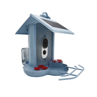 China Video Production/CD Animation Email Outdoor Cameras (MPEG-1 Video Capture) Record Small Animals Used For Bird Recording for sale