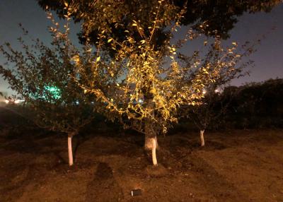 China paisaje de 6W 24V 5000K LED que enciende la lámpara blanca fresca para la iluminación del árbol en venta