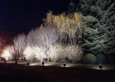 China El ángulo de haz estrecho fuera del jardín enciende el blanco fresco 5000K para la iluminación del árbol en venta