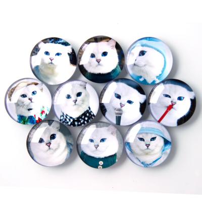 China New Designed REUSEABLE Round Shape Animal Magnetic Fridge Magnet for sale