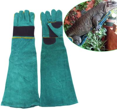 China Swelder Animal Handling Animal Handling Anti-Bite/Scratch Gloves for Dog Cat Bird Parrot Pet for sale