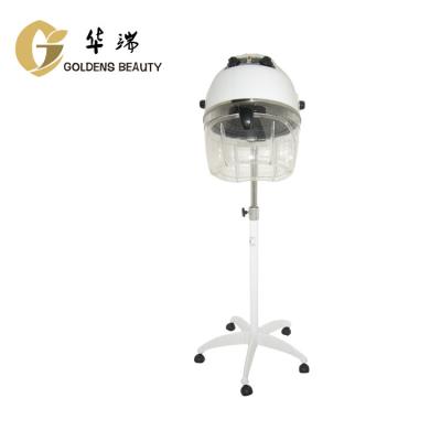 China Hair Salon Ionic Equipment Adjustable Thermostat Heats Hair Dryer with Timer for sale