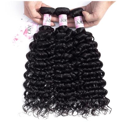 China Indian Water Wave TRIO Water Wave Virgin Hair Bundles With Lace Closure for sale