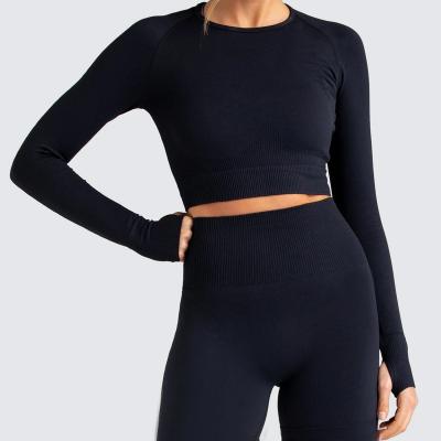 China 2021 Breathable Women 2 Piece Set Long Sleeve Skinny Gym Yoga Sports Women Clothes Yoga Two Piece Set for sale