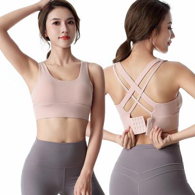 China Yoga Breathable Crop Workout Gym Bra Fashion Sports Bra Top Women Sports Yoga Bra Tops On Sale for sale