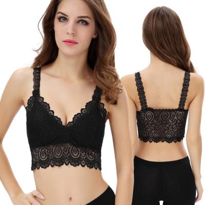 China Manufacturer direct selling hot style lace chest wraps anti-pilling anti-emptied wire free elastic underwear high crop top bra for sale