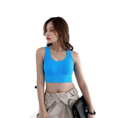 China Sports Bra Breathable Mesh Breathable Absorption Meet Hollow-out Fitness Running Bra Top Quick-Drying Beautiful Shape Back Crop for sale