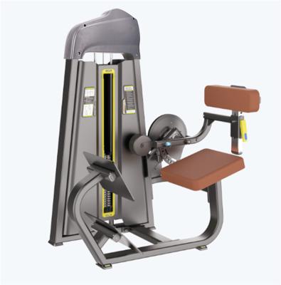 China Fitness universal commercial design manufacturer best price with good quality gym equipment back extender for sale