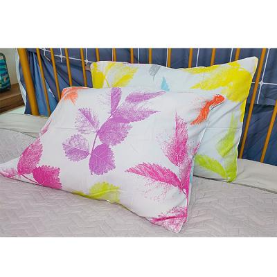 China Wholesale Household Folded Patterned Polyester 48*74 All-Season Print Pillow Cover for sale