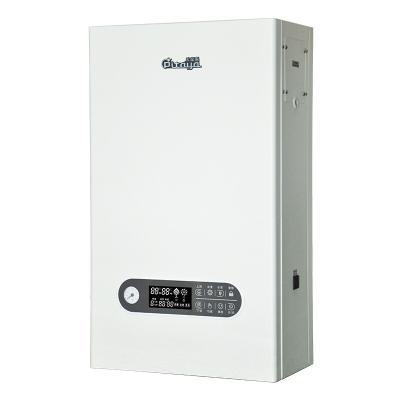 China New Non Wall Mount Water Heater Electric Gas Boiler Heating System For Radiators for sale