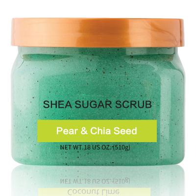 China Exfoliator Exfoliantes OEM Massage Cleansing Body Scrub Wholesale Organic for sale