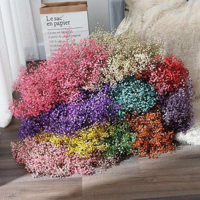 China Dried Flower Dried Flower Dried Flowers, Eternal Flowers, Eternal Flower Bouquets Valentine's Day for sale