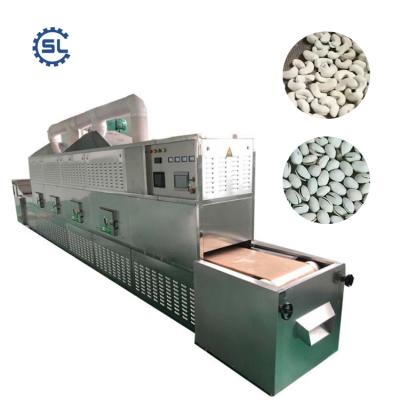 China Medicine Processing Tunnel Belt Food Sterilizer Dehydrated Vegetable Powder Sterilization Equipment for sale