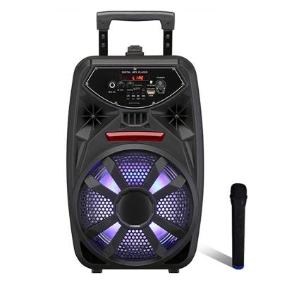 China Handheld Microphone Accesorry Built-in Battery, Portable Rechargeable 8 Inch, Subwoofer / Cart Speaker for sale