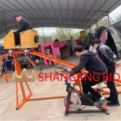 China 2021 New Steel Cheap Amusement Park Rides Parent-child Interaction Human Pedal Roller Coaster For Sale for sale