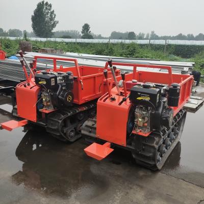 China Ton China Mini Crawler 1 Track Jinwang Farms Mini Dumper Agriculture Dumper Dump Truck for sale