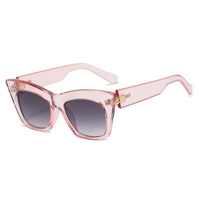 China 15 Years Experience China New Arrival UV400 Retro Large Classic Pink Eyewear Outdoor Sports Sunglasses for sale