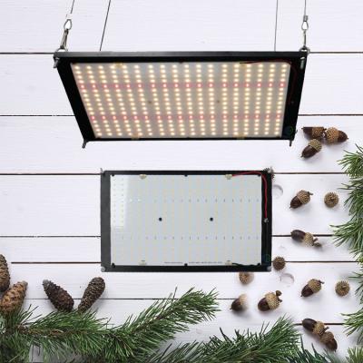 China Seed Starting Meiju QB288 Samsung V2 160 Mix 660nm Watts Led Grow Light , QB132 288 lm301b 120Watt Assembled Samsung Grow Light for sale