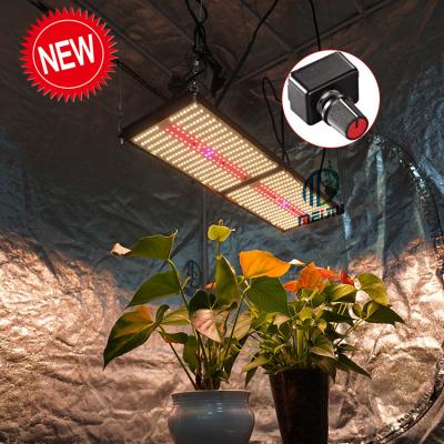 China FLOWER Board QB288 V2V3 240W Commercial IR UV Grow Light Panel , Newest Meijiu 2020 Meiju 240W Led Grow Light for sale