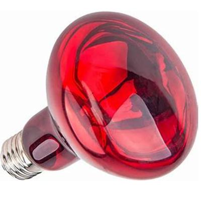 China Animal husbandry 250W Never Fade Full Red Infrared Bulb R125 for sale