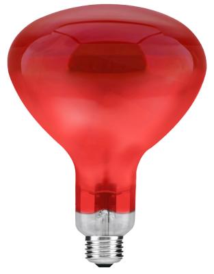 China Animal husbandry 250W  Never Fade Red Infrared Bulb R125 for sale