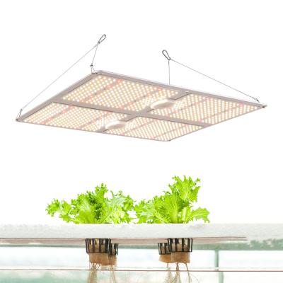 China Seed Starting SF4000 450W LM301B LED ELG MeanWell Driver Full Spectrum Grow Light For Hydroponics for sale