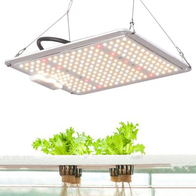 China Seed Starting SF1000 110W Full Spectrum LM301B LED Grow Light For Indoor Plants for sale