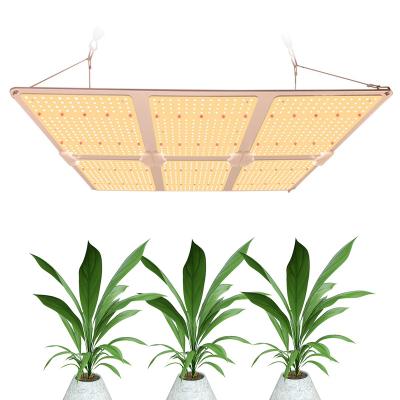 China Seed Starting 600W V6 Dimmable LM301B Full Spectrum Hydroponic Growing Light With IR760nm for sale