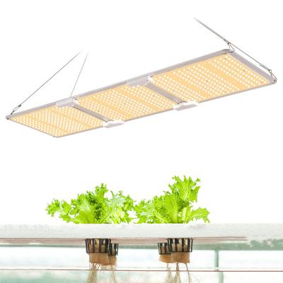 China Seed Starting SF3000 Novedades LM301B Grow LED , Aeropot 320W QB288V3 Edge LED Grow Light for sale